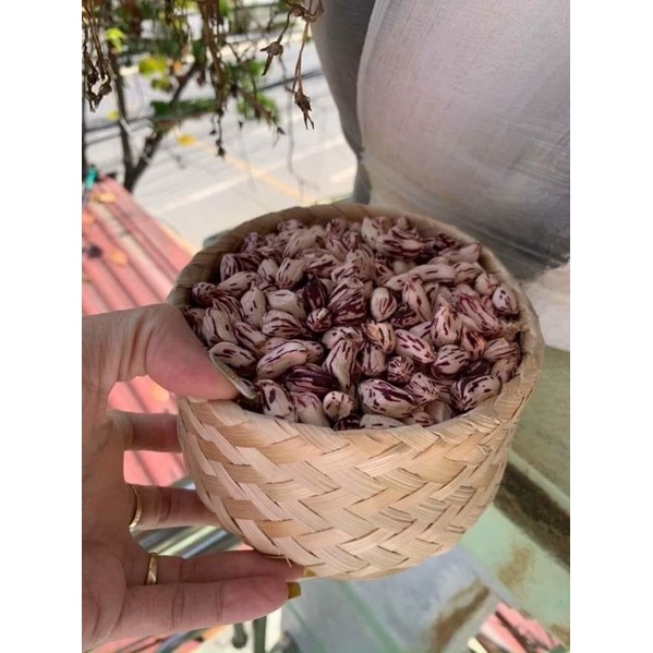 Lạc Hoa Mèo