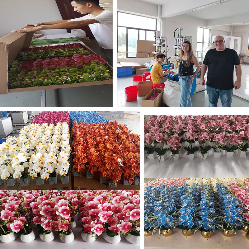 Hoa giả hoa lan hồ điệp giả chất liệu cao su cành 9 bông hoa trang trí tết phòng khách siêu đẹp Erica