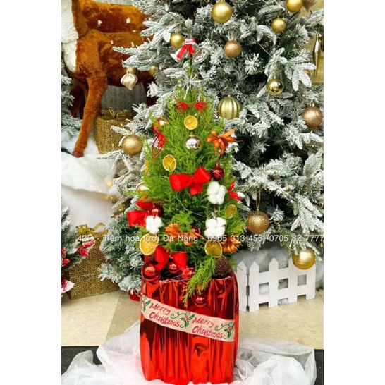 Simili gương lót nhung khổ 70cm