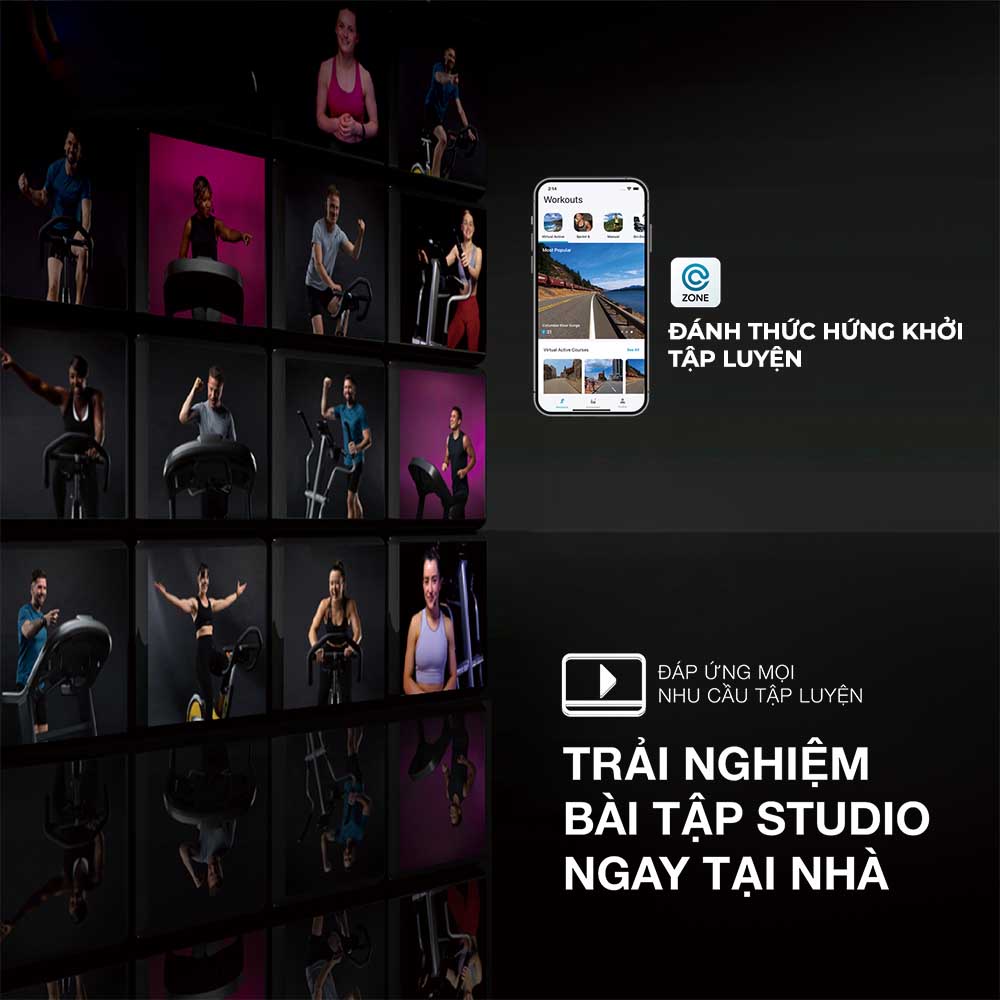 Máy chạy bộ điện Mỹ Horizon 7.0AT-24