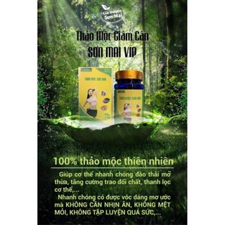 Thảo mộc Sơn Mai vip 90 viên