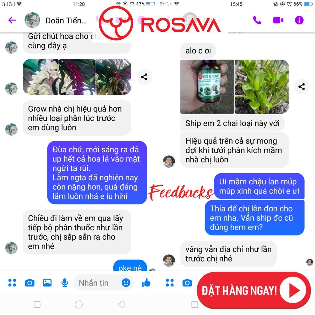 Phân bón lan, thuốc kích mầm cho cây và hoa lan Bio Grow hữu cơ vi sinh ROSAVA