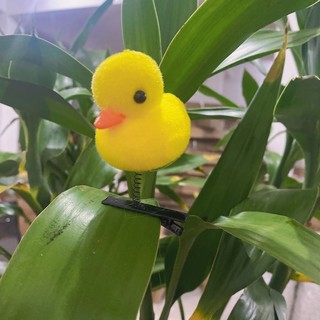 (MớI) Kẹp TóC HìNh Con Gà ĐáNg Yêu