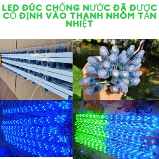Led đúc chống nước full màu 1903, 2811 làm led pháo hoa