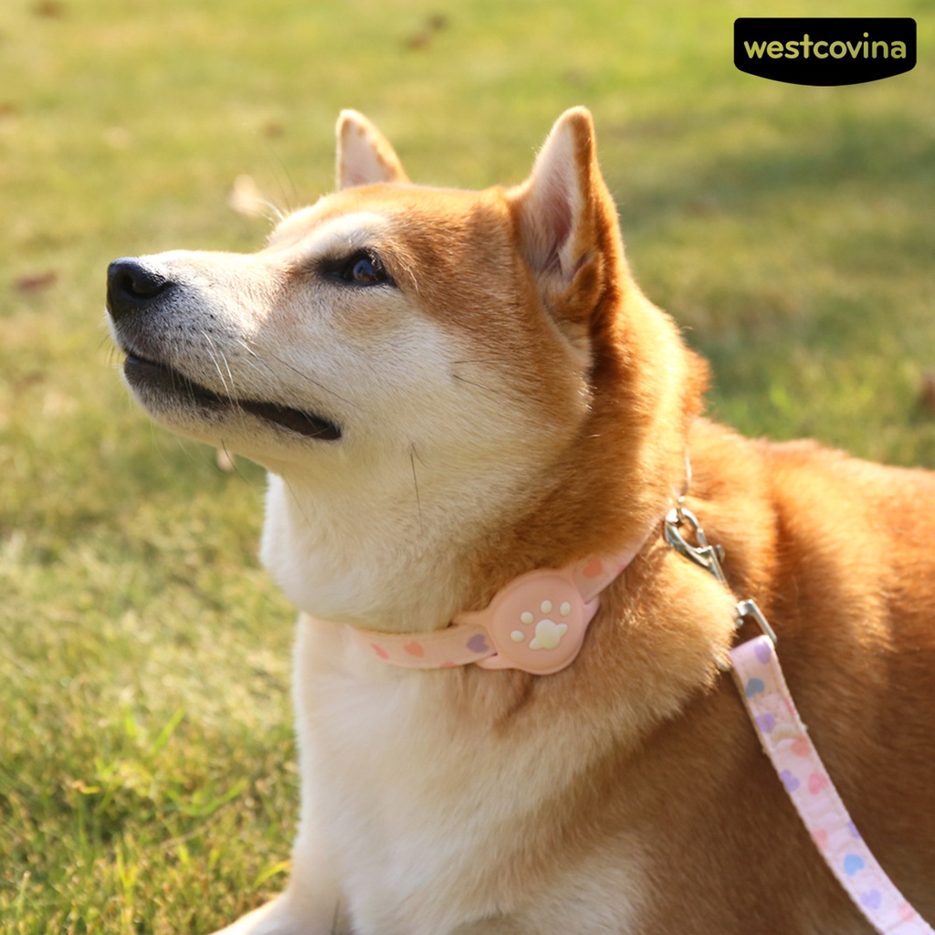 [COD]♘1 Bộ Vòng Đeo Cổ Chống Thất Lạc Bằng Silicon Có Thể Điều Chỉnh Cho Thú Cưng