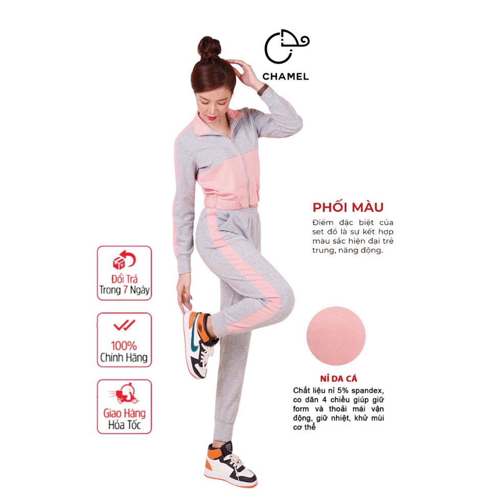 Bộ đồ nỉ da cá cao cấp CHAMEL, bộ nỉ thu đông dáng thể thao kéo khoá