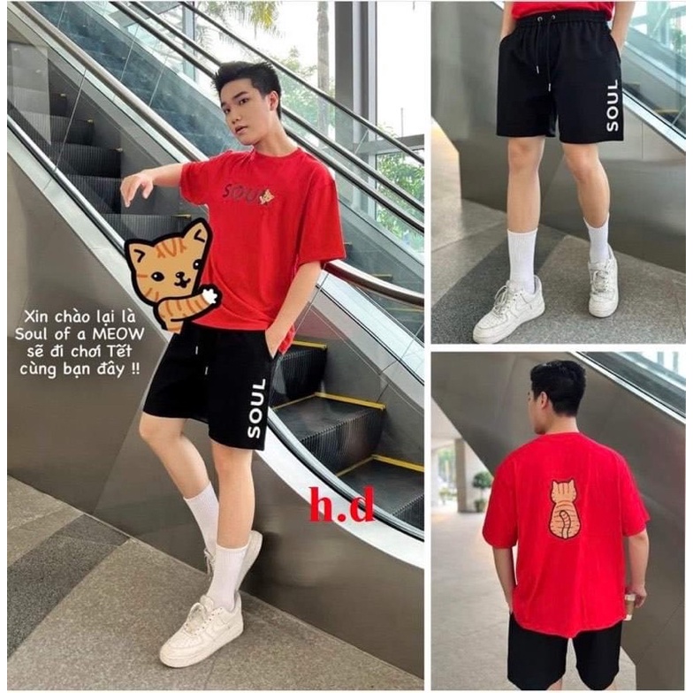 Bộ nam mèo sou HD12