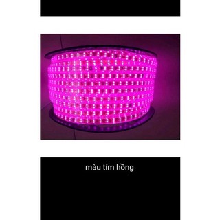 [ cuộn 100m] Led 2 hàng siêu sáng 2835