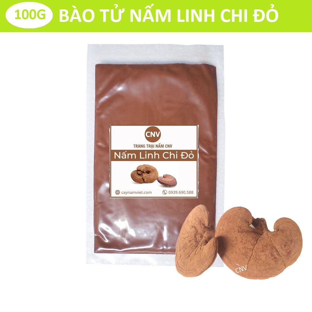 Bào tử nấm linh chi đỏ việt nam CNV 100g (bào tử xích chi cao cấp)