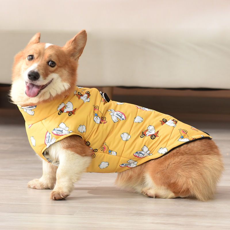 Áo Thun Cotton Dày Dặn Giữ Ấm Mùa Thu Đông Dành Cho Cún Cưng
