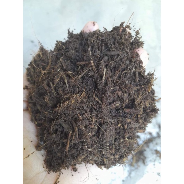Phân rơm mục chất trồng dinh dưởng tổng hợp