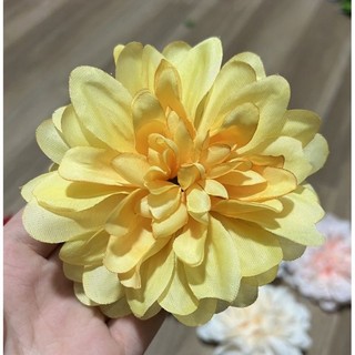 ĐẦU BÔNG HOA THƯỢC DƯỢC CAO CẤP