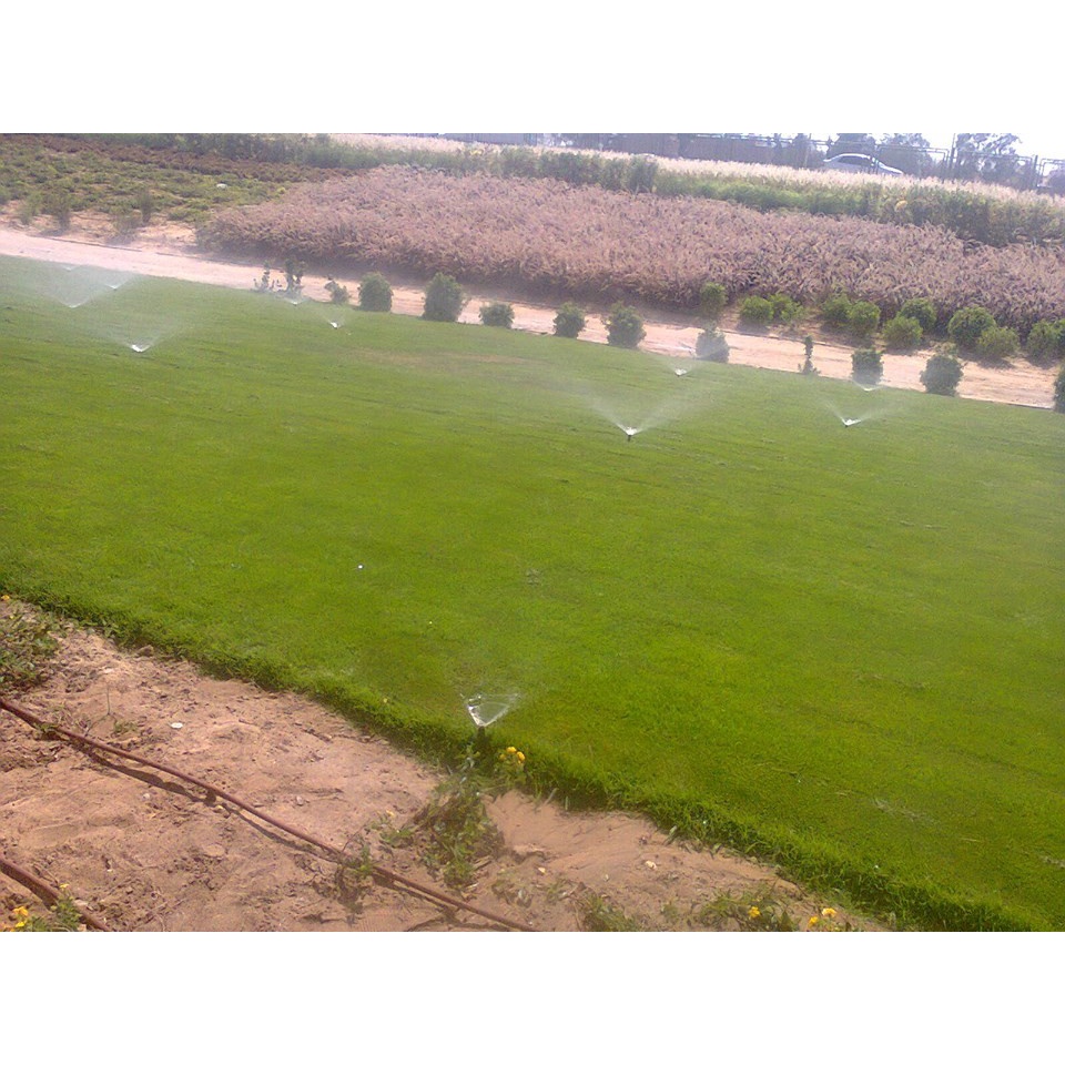 Vòi phun mưa tưới cỏ - Vòi phun popup cảnh quan, vòi phun âm đất chân ren 21mm