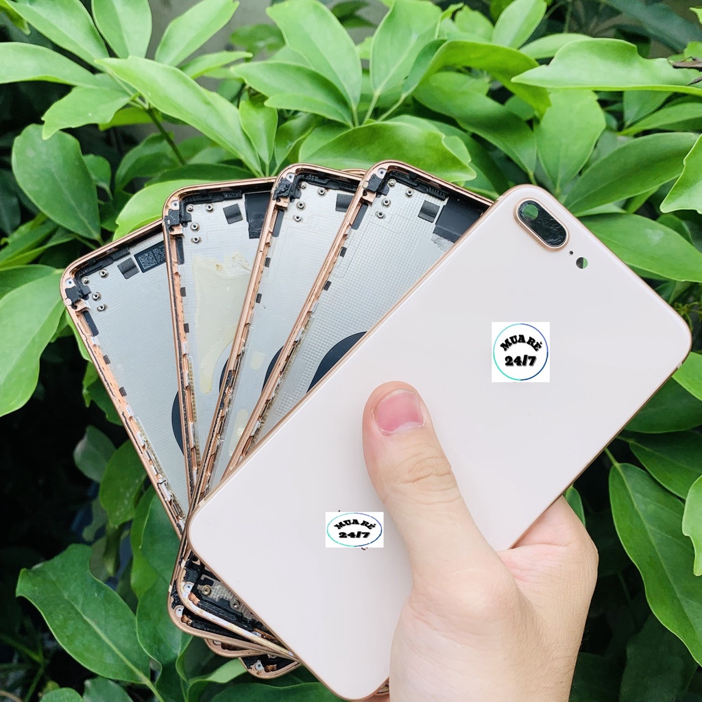 Vỏ XIN đẹp dành cho 8PLUS màu Vàng Hồng