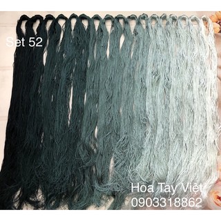 SET CHỈ TƠ BÓNG 52 (160gam)