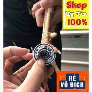 Cao dán lậu đế ké chậu cho Gà Chọi - Miếng dán ké chậu gà, viêm bàn chân gà nhập khẩu chính hãng Thái Lan
