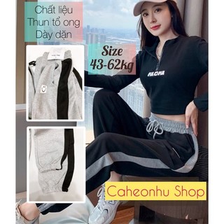 Quần dài nữ baggy ống bo thun vải tổ ong cực mềm mát