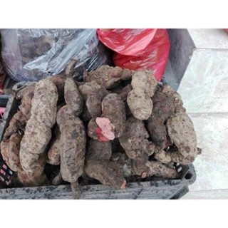 1kg HÀ THỦ Ô ĐỎ TƯƠI - HÀNG ĐẢM BẢO CHẤT LƯỢNG 100% - DƯỢC LIỆU HÀ HOÀNG