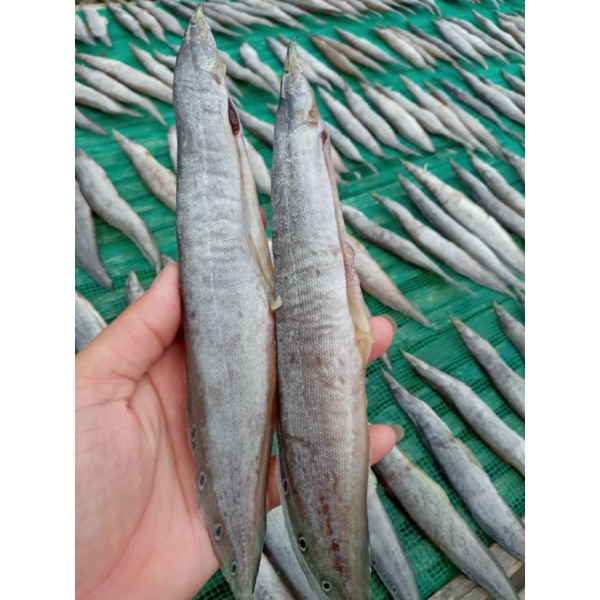 Khô cá chạch size đại vị vừa ăn