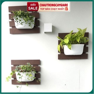 Chậu ốp tường trồng cây trang trí ban công, chậu trồng cây treo tường phong cách hiện đại, chậu treo ban công sân vườn