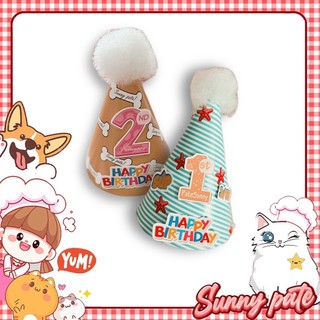 Nón đôi cho thú cưng - Nón đội sinh nhật cho thú cưng - Nón sinh nhật nhỏ Sunny pate