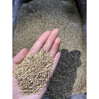 Tiểu Hồi Hương 1kg - Thảo dược Hồng Hạnh