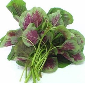 10gr hạt giống rau dền tiều