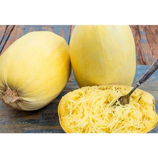 1gr hạt giống bí sợi mì ý spaghetti