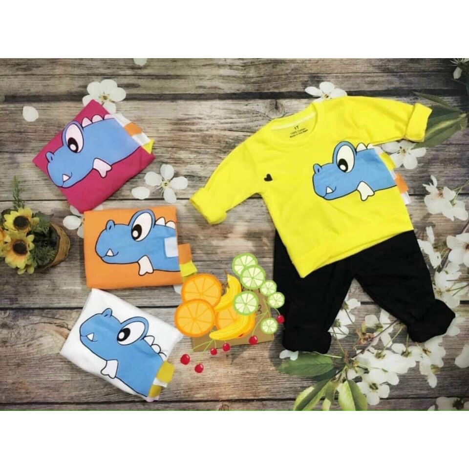 Bộ Dài Tay Thu Đông Bé Trai Bé Gái Hoạt Tiết Xương Rồng Và Khủng Long Siêu Cute Chất Vải Mềm Mát Cho Bé 8 - 20kg