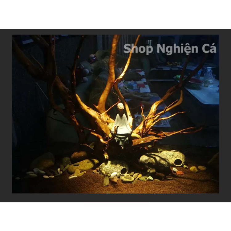 Đèn led rọi kẹp thành hồ cá thủy sinh 3W 5W