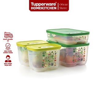 Bộ hộp trữ mát có nút hô hấp Ventsmart - Tupperware