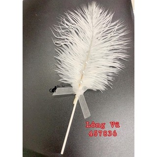 lông vũ chụp ảnh mẫu móng , nail