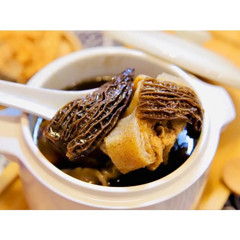 Nấm bụng dê 💎Nấm quý hiếm💎