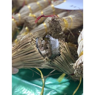 Tré Bình Định combo 3 cây