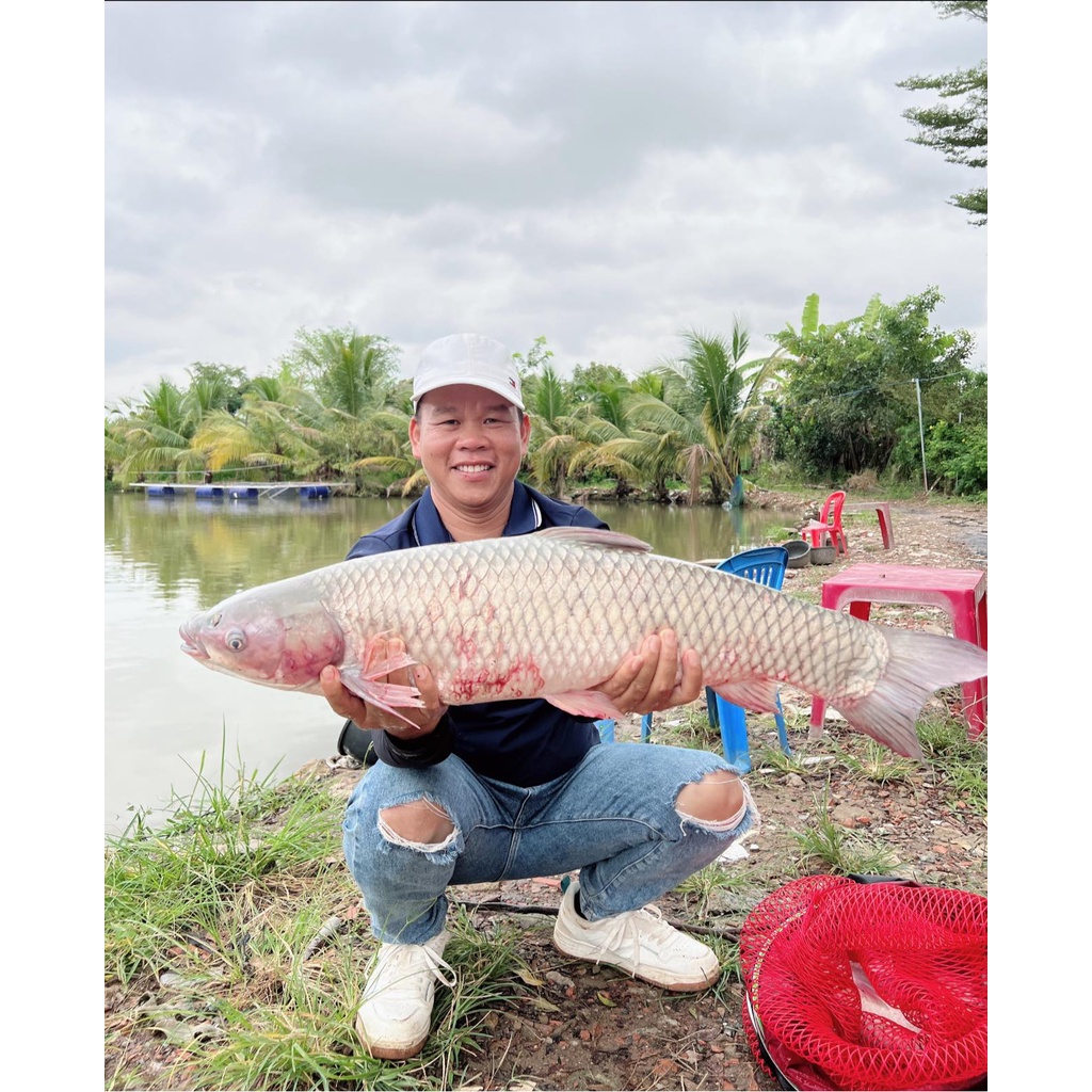 Hương liệu câu cá Nước Vàng CNF - Buns Fishing