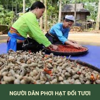 Mắc khén hạt dổi Tây Bắc, combo mắc khén hạt dổi