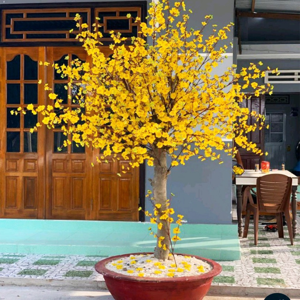 Combo 50 cành đào giả trang trí tết