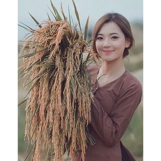 set bà ba nâu kèm quần