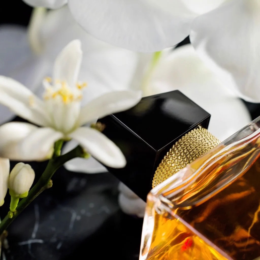 Nước Hoa YSL Libre Le Parfum Bản Thơm Nhất Của Libre