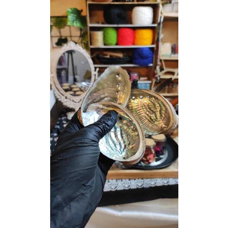 SAN HÔ / VỎ BÀO NGƯ ĐỰNG NÉN TRẦM