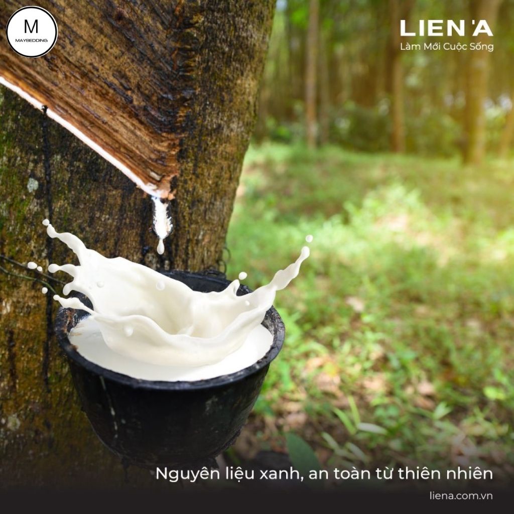 Nệm Cao Su LIÊN Á Premium Classic, Cao 15cm - Hàng Chính Hãng