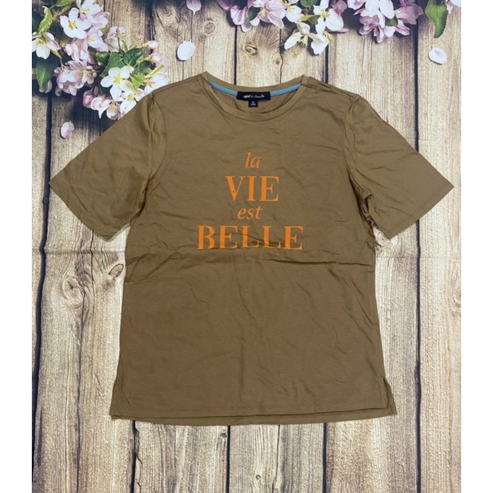 HÀNG XUẤT XỊN - ÁO THUN COTTON MÀU NÂU XUẤT KHẨU