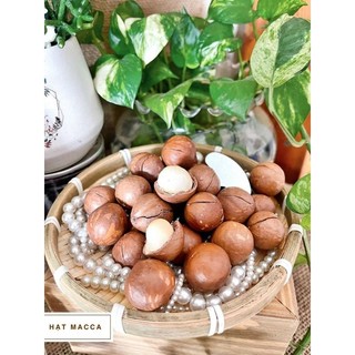 Hạt macca Tây Nguyên hũ 500g