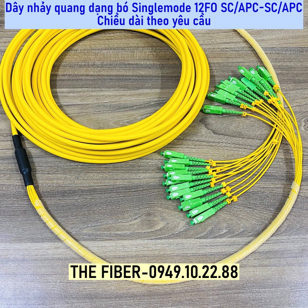 Dây nhảy quang Singlemode dạng bó 12FO SC/APC-SC/APC Fanout phi 2.0mm