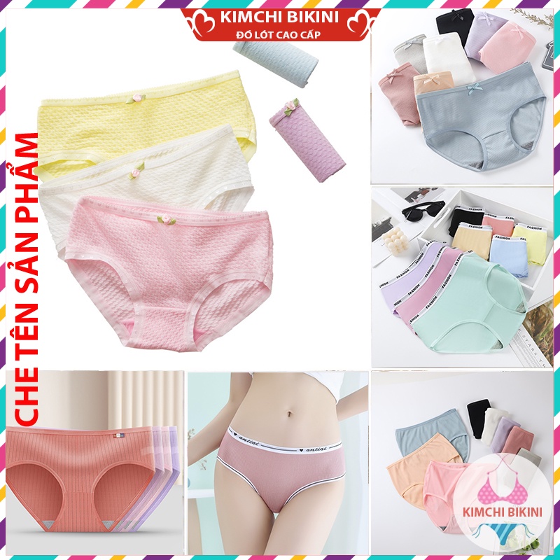 quần chíp cotton nữ chống viêm nhiều màu sắc mẫu mã đa dạng KIMCHIBIKINI quần xì nữ xinh đẹp sễ thương QL052