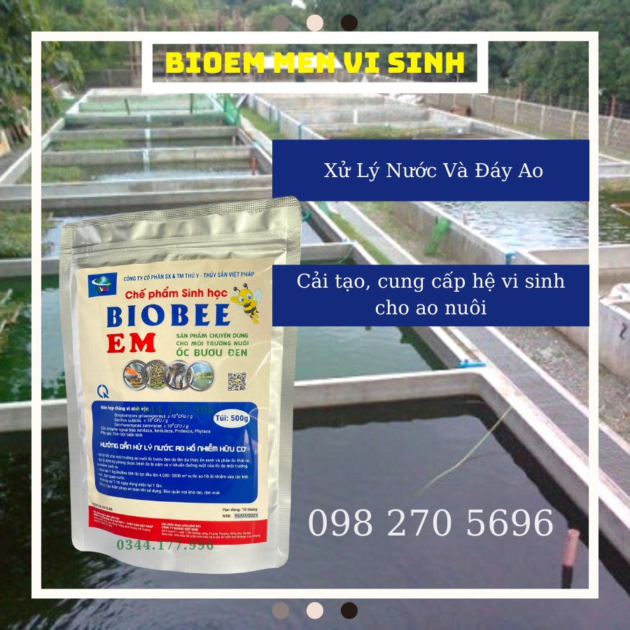 MEN VI SINH BIOEM - XỬ LÝ NƯỚC VÀ ĐÁY AO NUÔI ỐC