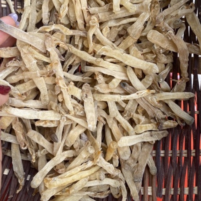 Sá Sùng trắng  nguyên con đẹp làm nước dùng cực dôi