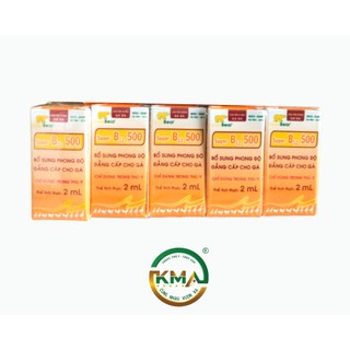 SUPER B12 500 (2ML/LỌ) Dùng cho gà đá