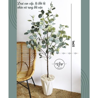Cây giả, Chậu táo nở hoa lá bạc
