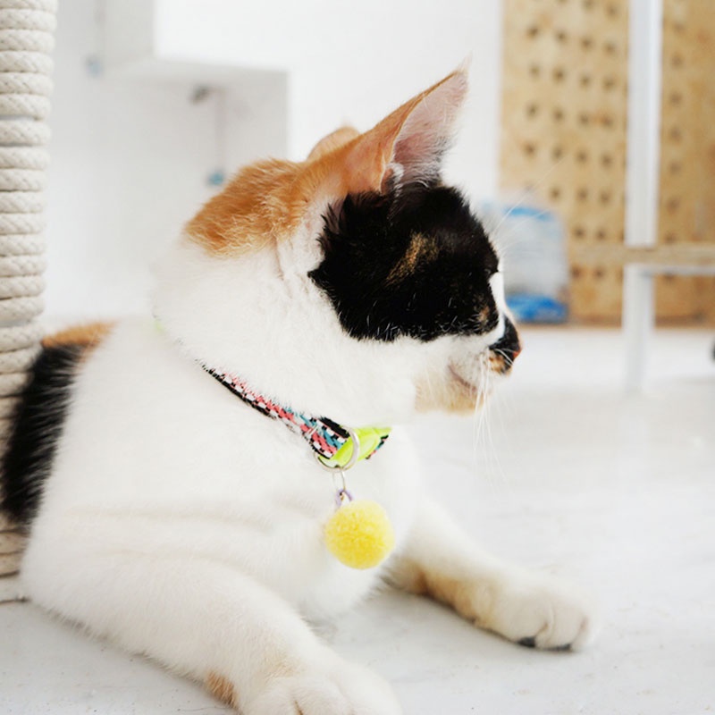 HamshMoc Vòng Cổ Nhẹ Mềm Mại Thoải Mái Bền Bỉ Có Chuông Và Bóng Lông Cho Thú Cưng